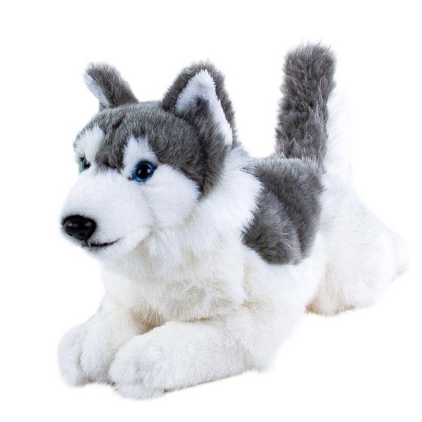 Kuscheltier Husky Ice 30 cm liegend Hund