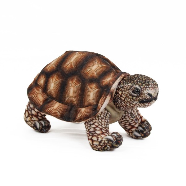 Kuscheltier Landschildkröte braun 20 cm Plüschtier